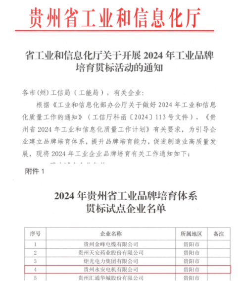 喜訊！貴州永安榮獲“2024年貴州省工業(yè)品牌培育體系貫標(biāo)試點(diǎn)企業(yè)”稱號(hào)